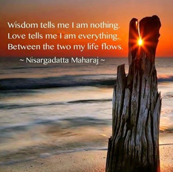 952B293D-A0E5-4B19-812D-D8F2F5F8C8B5