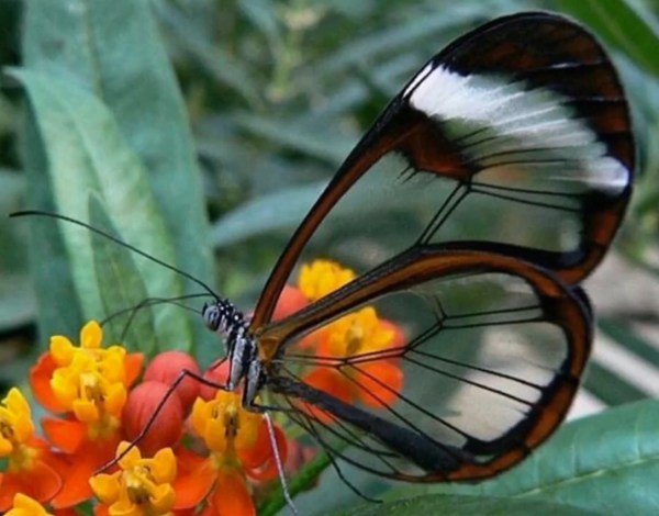 C8B4D384-22A9-40D5-B19F-D52C833E65D7